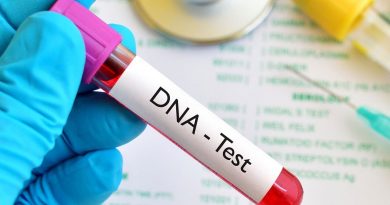 Best DNA Testing Kits – Genetic Testing for Ancestry And Paternity